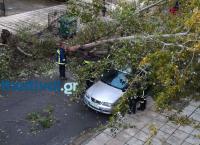 Καταστροφικό μπουρίνι στη Θεσσαλονίκη – Δέντρα πάνω στα αυτοκίνητα (vids)