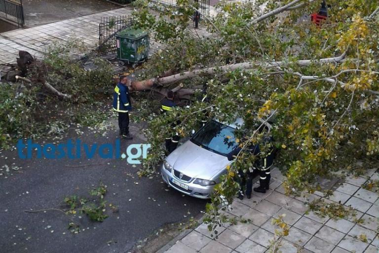Καταστροφικό μπουρίνι στη Θεσσαλονίκη – Δέντρα πάνω στα αυτοκίνητα (vids)