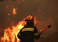 ΦΩΤΙΑ ΤΩΡΑ: Πυρκαγιά στην Αμαλιάδα