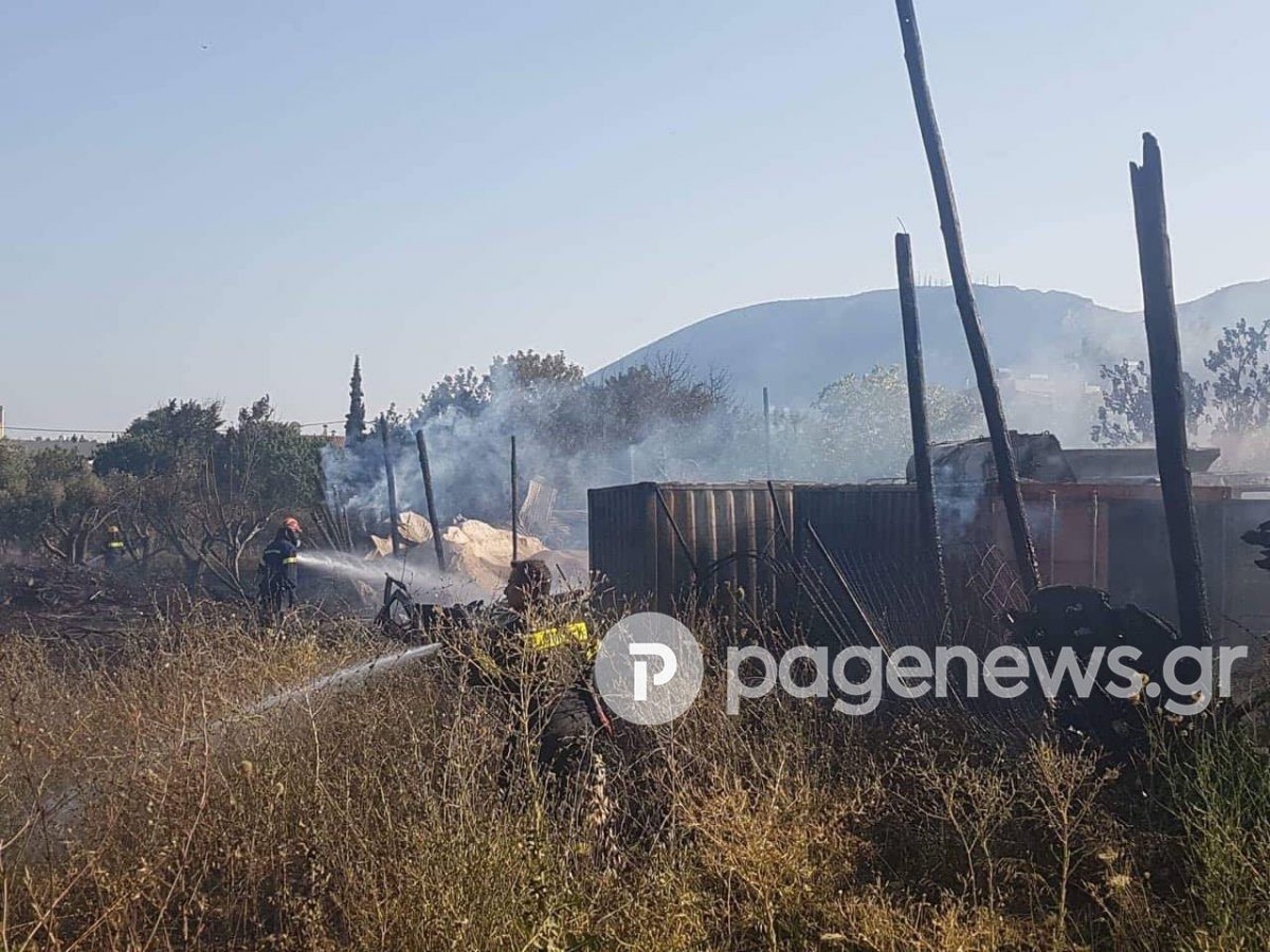 Υπό έλεγχο η φωτιά στο Γέρακα (pics)