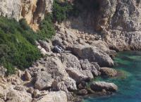 Καλιφόρνια: Έπεσε από γκρεμό και βρέθηκε ζωντανή μετά από 7 ημέρες
