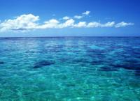 Εντοπίστηκε ρύπανση στο βαθύτερο σημείο του ωκεανού