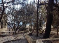 Η Μότορ Όιλ αναλαμβάνει την αποκατάσταση του Λυρείου Παιδικού Ιδρύματος