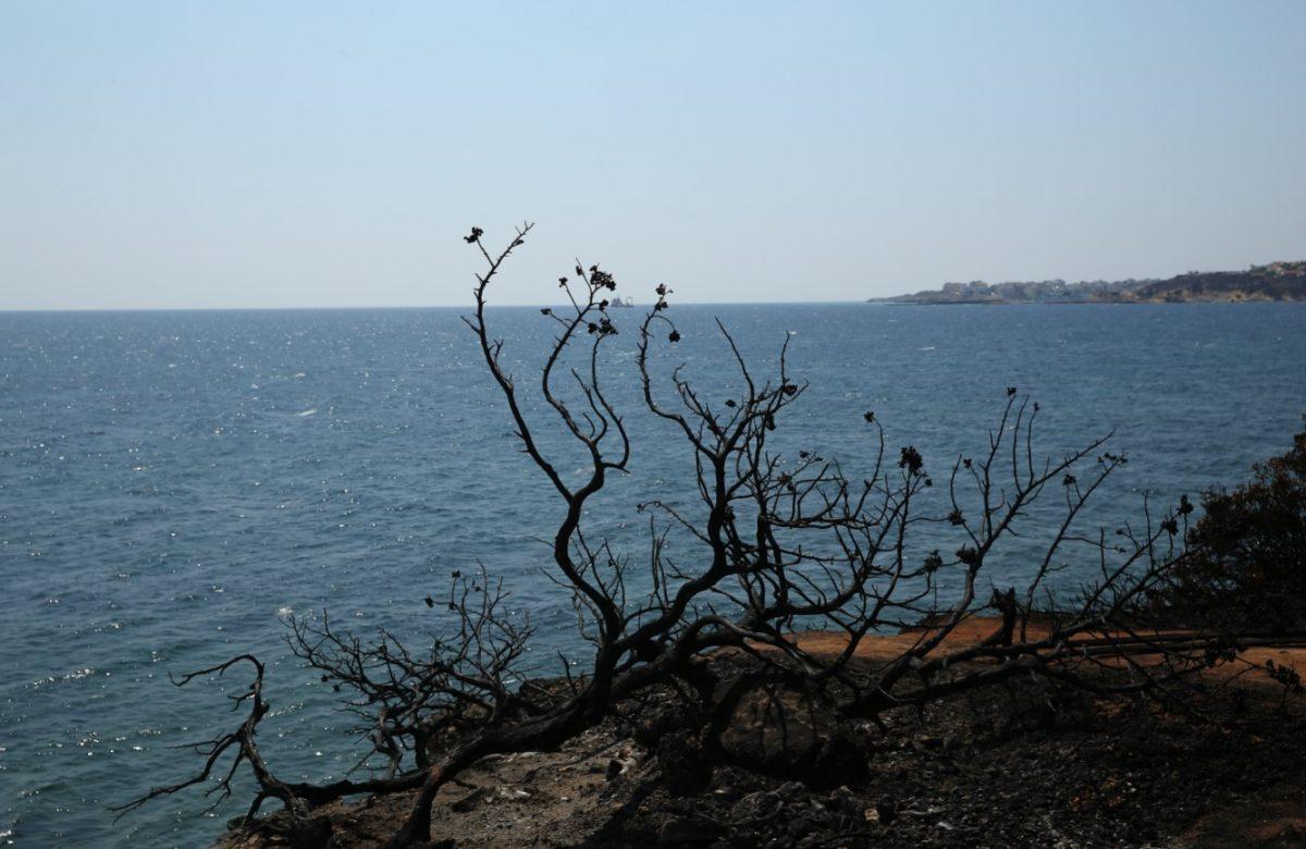 Μάτι: Ελληνική υπηκοότητα στους 3 ψαράδες που έσωσαν δεκάδες πυρόπληκτους