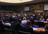 ΟΗΕ: Έκθεση φωτογραφίας για τα ελληνικά νησιά και τη βιοποικιλότητα