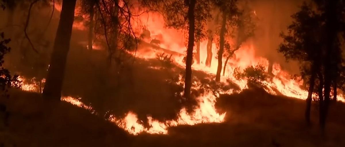 ΗΠΑ: Οι ηπιότεροι άνεμοι διευκολύνουν την κατάσβεση των πυρκαγιών