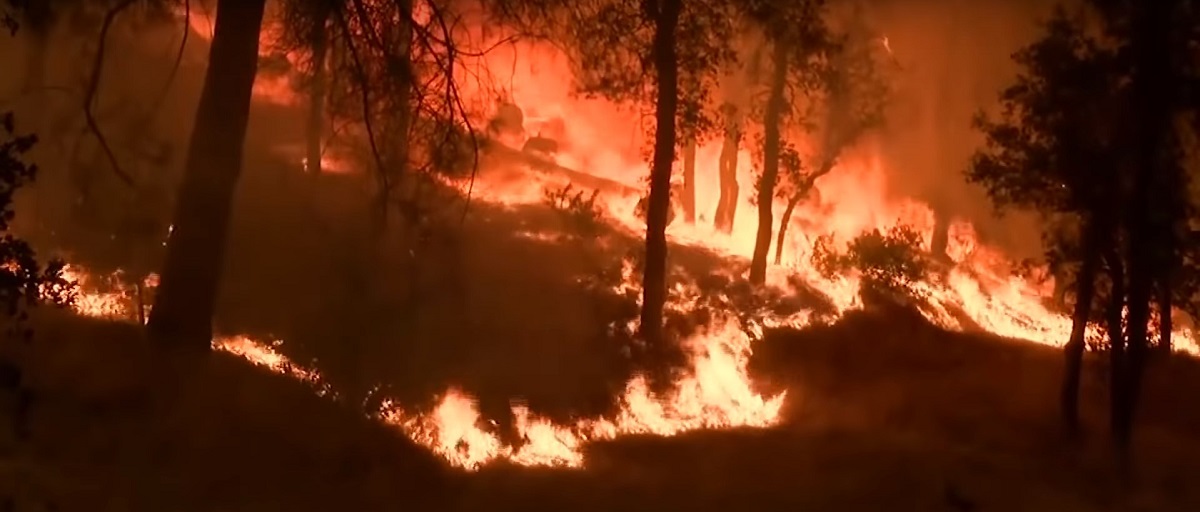 ΗΠΑ: Οι ηπιότεροι άνεμοι διευκολύνουν την κατάσβεση των πυρκαγιών