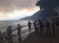 Μάτι: Βίντεο ντοκουμέντο – Διασώστες σώζουν παιδιά από την παραλία (vid)