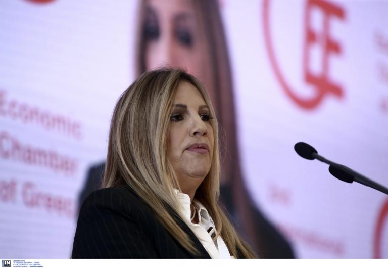 Πυρκαγιές Αττικής: Τον Νέο Βουτζά και το Μάτι επισκέφθηκε η Γεννηματά