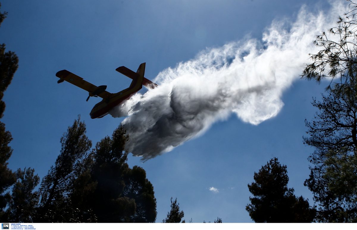 ΦΩΤΙΑ ΤΩΡΑ: Πυρκαγιά σε δασική έκταση στην Κέρκυρα