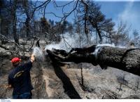 Φωτιά Εύβοια: Σε ύφεση η πυρκαγιά στον δήμο Δίρφης – Μεσσαπίων
