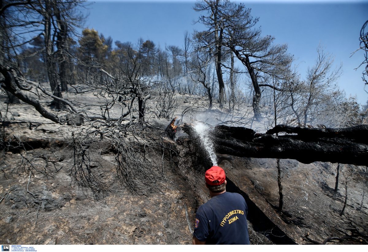 Φωτιά τώρα: 12.000 στρέμματα δασικής έκτασης έγιναν στάχτη στην Εύβοια