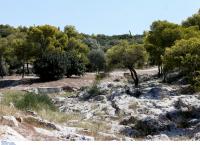 Φιλοπάππου: Σε 10 άτομα στρέφονται οι έρευνες – Τα μέτρα της ΕΛ.ΑΣ