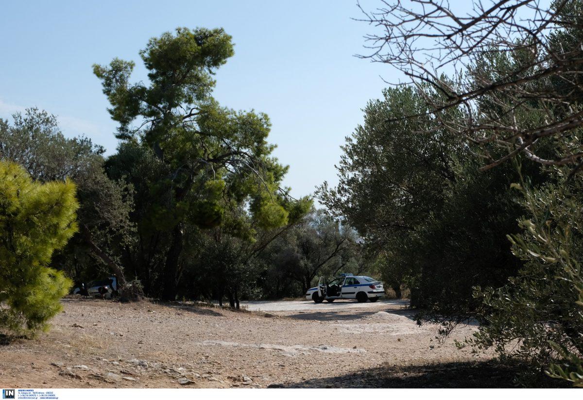 ΕΓΚΛΗΜΑ ΣΤΟΥ ΦΙΛΟΠΑΠΠΟΥ : Αυτοί είναι οι συλληφθέντες (pic)