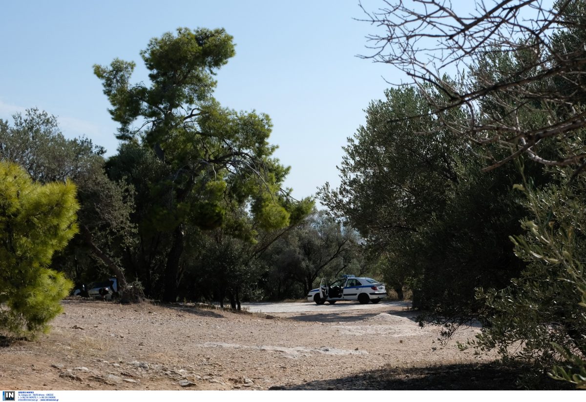 ΕΓΚΛΗΜΑ ΣΤΟΥ ΦΙΛΟΠΑΠΠΟΥ : Αυτοί είναι οι συλληφθέντες (pic)