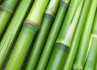 ΕΦΕΤ: Ανακαλεί παιδικές κούπες από ίνες bamboo (pic)