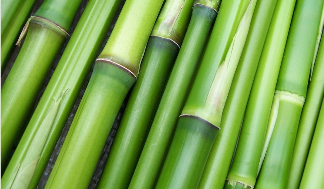 ΕΦΕΤ: Ανακαλεί παιδικές κούπες από ίνες bamboo (pic)