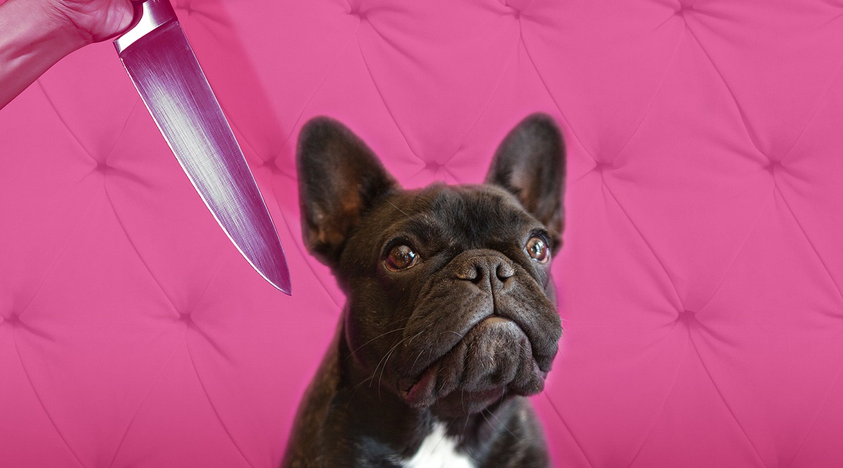 “Δυόμισι φόνοι και ένα μπουλντόγκ” στο Θέατρο Απόλλων