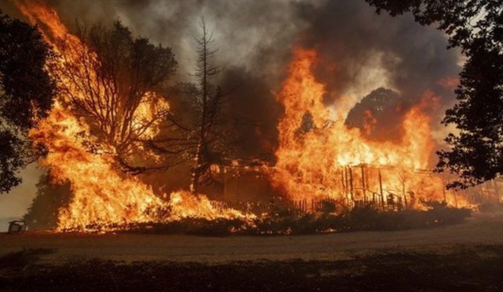 Φωτιά Καλιφόρνια: Οι πυροσβέστες κερδίζουν τη μάχη με τις φλόγες