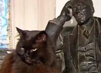 Φρενίτιδα στη Ρωσία από τη μυστηριώδη κλοπή γάτας (vid)