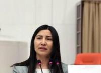 Τουρκάλα πρώην βουλευτής πέρασε παράνομα τον Έβρο και ζήτησε άσυλο