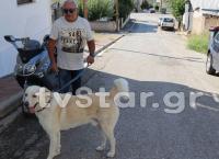 Στυλίδα: Κάτοικος «έφαγε» πρόστιμο 500 ευρώ επειδή ο σκύλος του γαβγίζει (pics)
