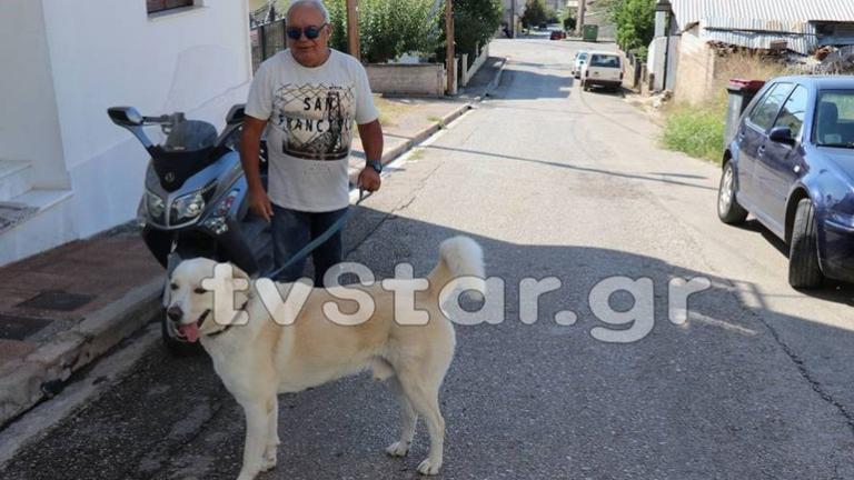 Στυλίδα: Κάτοικος «έφαγε» πρόστιμο 500 ευρώ επειδή ο σκύλος του γαβγίζει (pics)