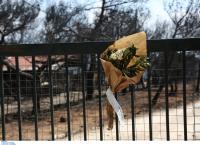 Μάτι: Δημιουργία πάρκου με πρωτοβουλία της Ιεράς Συνόδου