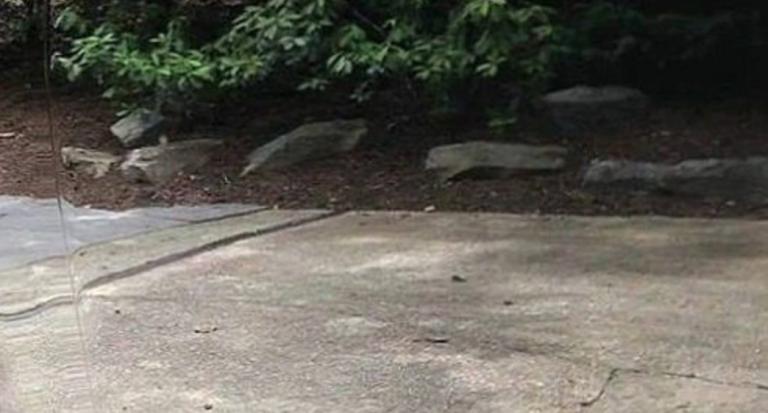 Το αόρατο αυτοκίνητο που διχάζει τους χρήστες του διαδικτύου (pic)