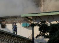 Πανεπιστήμιο Κρήτης: Έκκληση για βοήθεια στους φοιτητές μετά την πυρκαγιά