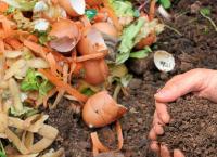 Περιφέρεια Αττικής: Μείωση του όγκου των οργανικών απορριμμάτων κατά 25%