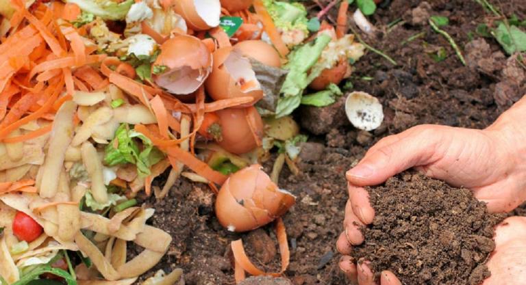 Περιφέρεια Αττικής: Μείωση του όγκου των οργανικών απορριμμάτων κατά 25%