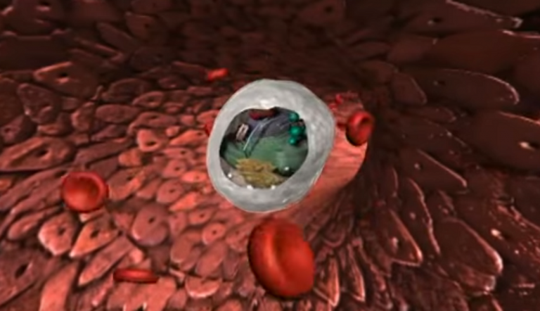 Καρκίνος: Μείωση της θνησιμότητας έως και 6% από το 2012 και μετά