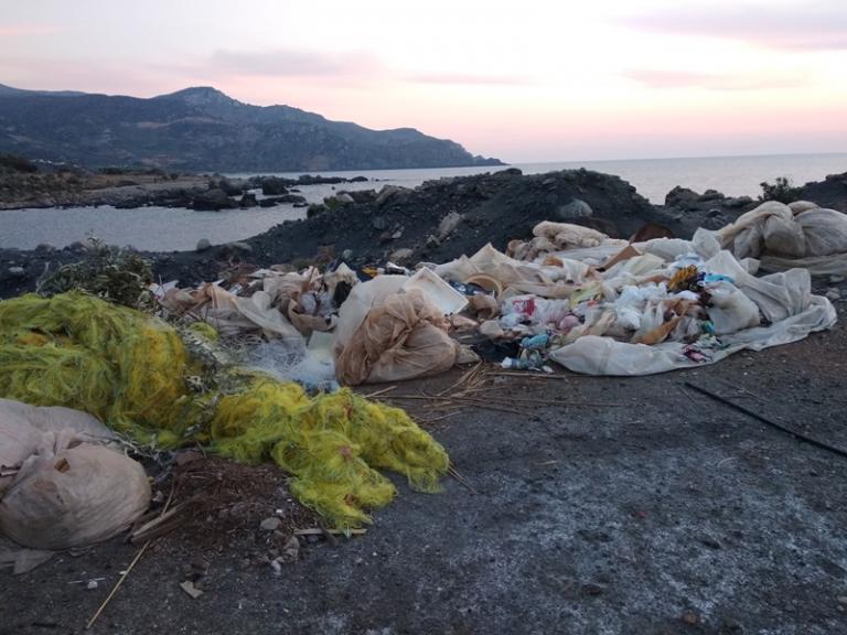 Κρήτη: Φρικιαστικό θέαμα – Κεφάλι καρχαρία σε παραλία σκουπιδότοπο (pics)