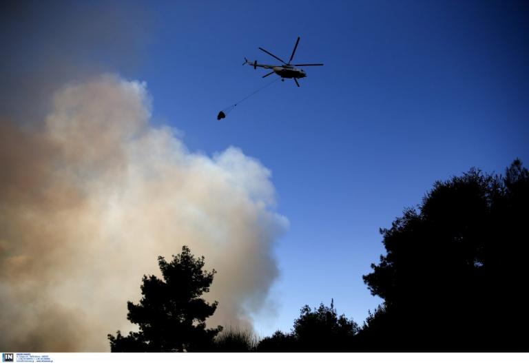 Πυρκαγιές Κρήτη: Πάνω από 15.340 στρέμματα έγιναν στάχτη το 2018