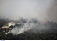 Φωτιά Χαλκιδική: Εκκενώνονται οικισμοί – Συνεχίζεται η επιχείρηση για την κατάσβεση της πυρκαγιάς (pics&vids)