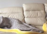 Αγγλία: Κοριτσάκι παίζει αμέριμνο με γιγάντιο πύθωνα (vid)