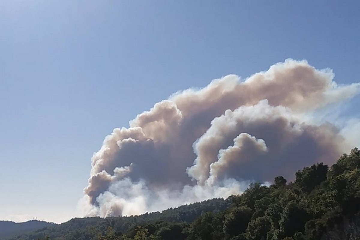 Φωτιά Χαλκιδική: Μαύρισε ο ουρανός από τους πυκνούς καπνούς (pics)