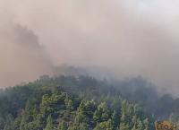 Χαλκιδική: Καθαρισμοί στις πυρόπληκτες περιοχές
