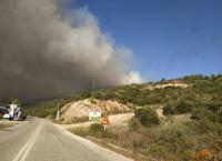 Φωτιά Χαλκιδική: Βελτιωμένη η κατάσταση στη Σάρτη μετά την πτώση των ανέμων