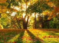 ΚΑΛΟ ΜΗΝΑ:  Από πού κρατά η σκούφια του Οκτωβρίου