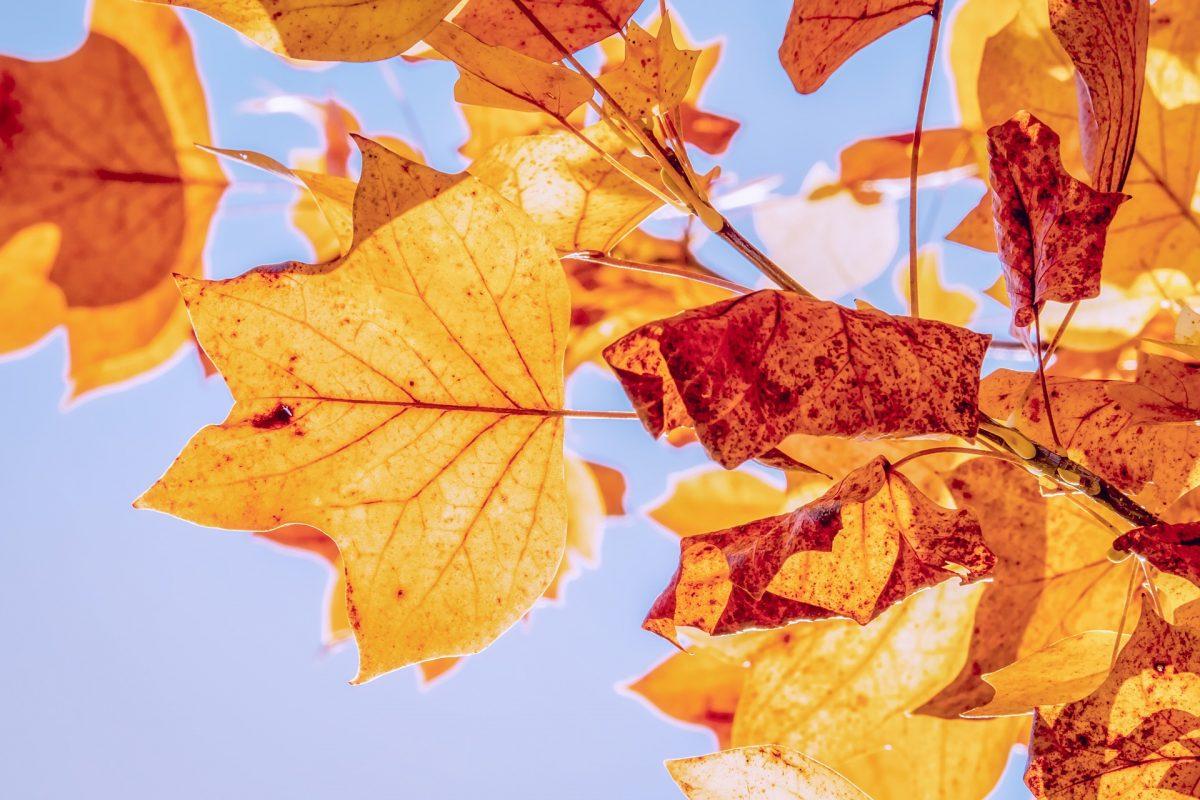 Καιρός (29/10/18): Η πρόγνωση για την Δευτέρα 29 Οκτωβρίου 2018