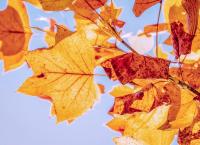 Καιρός (29/10/18): Η πρόγνωση για την Δευτέρα 29 Οκτωβρίου 2018