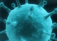 Έρευνα για τον καρκίνο: Ανακάλυψη Βρετανών επιστημόνων για “το παράδοξο του καρκίνου”