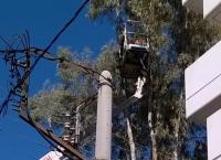 Δήμος Καισαριανής: Ξεκίνησαν οι εργασίες για το κλάδεμα ψηλών δένδρων