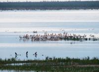 Περιφέρεια Θεσσαλίας: Βραβεύτηκε για την ανασύσταση της Λίμνης Κάρλα