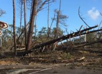 Η καταιγίδα Λέσλι σάρωσε την Πορτογαλία (pics)