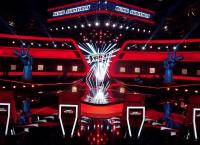 Voice: Οι 4 πρώτοι που πέρασαν στον τελικό (vids)