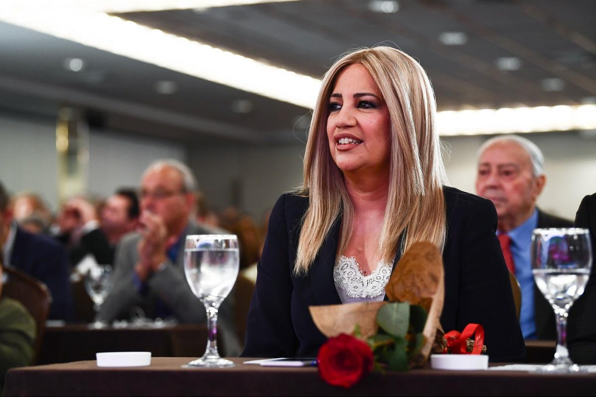 Γεννηματά για πλειστηριασμούς: Το ΚΙΝΑΛ θα καταθέσει πρόταση Νόμου για την προστασία των πολιτών