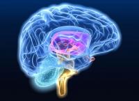 Έλληνας νευροεπιστήμονας ανακάλυψε μια άγνωστη περιοχή στον ανθρώπινο εγκέφαλο